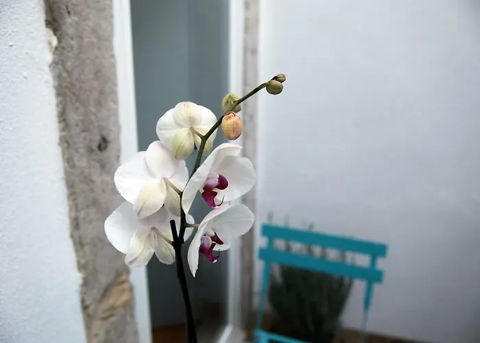 Santo Amaro's House Appartement Lissabon