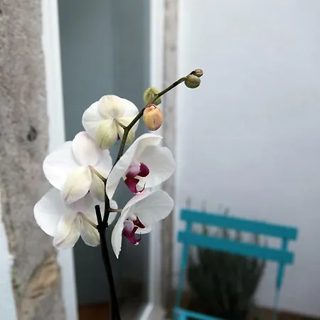 Santo Amaro's House Apartament Lizbona